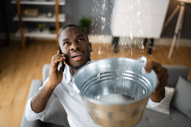 Best Ceiling water damage repair  in Chillicothe, MO