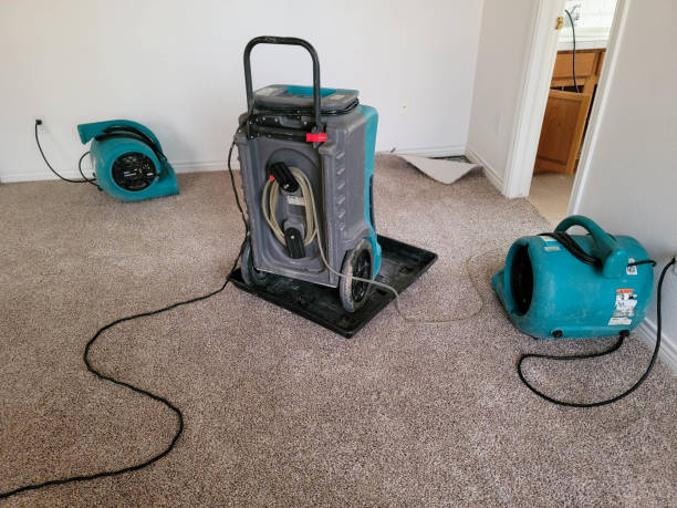 Best Water damage restoration process  in Chillicothe, MO