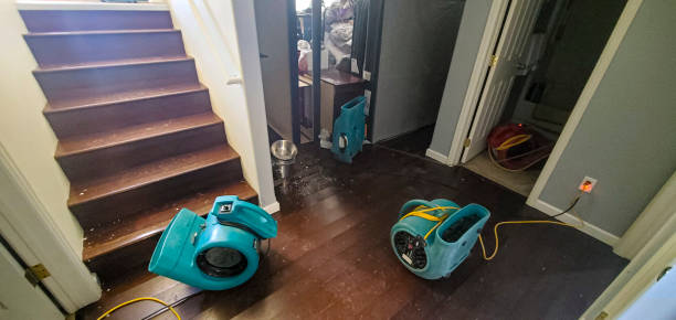 Best Residential water damage restoration  in Chillicothe, MO