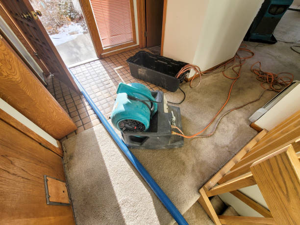 Best Water damage contractors near me  in Chillicothe, MO
