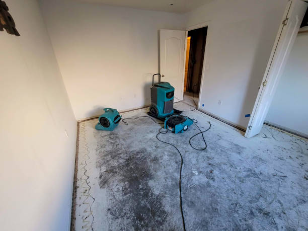 Best 24-hour water damage restoration  in Chillicothe, MO