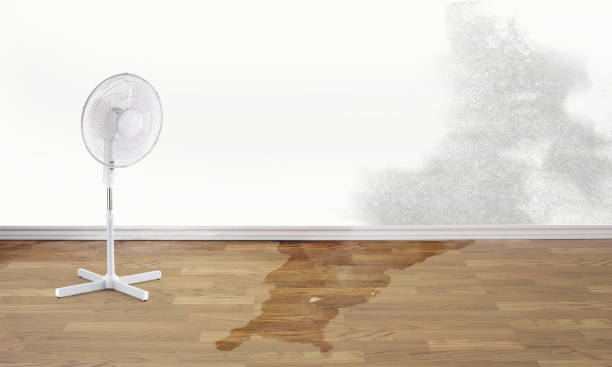 Best Water damage repair service  in Chillicothe, MO