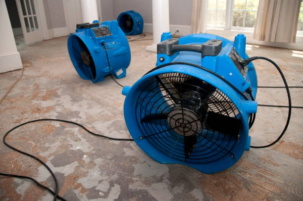 Best Sewage cleanup and water damage restoration  in Chillicothe, MO