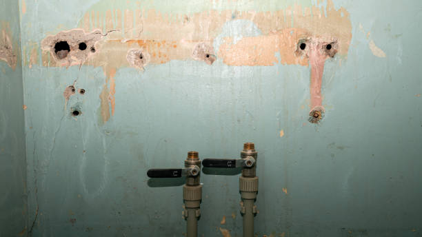 Best Local water damage restoration  in Chillicothe, MO