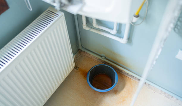 Best Carpet water damage restoration  in Chillicothe, MO