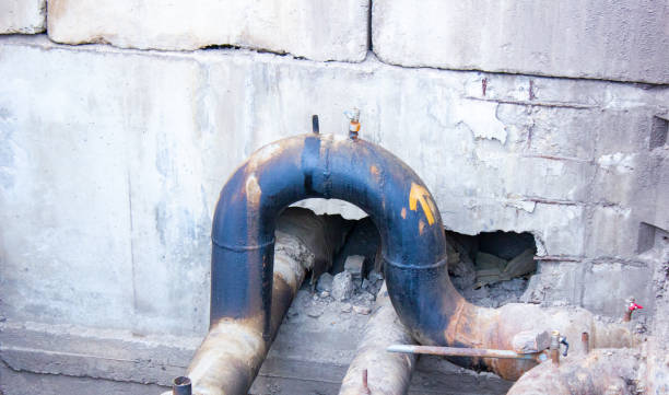 Best Flood damage cleanup  in Chillicothe, MO