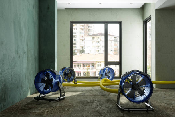 Professional Water damage restoration in Chillicothe, MO