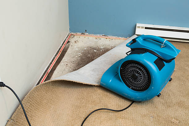 Best Emergency water damage restoration  in Chillicothe, MO