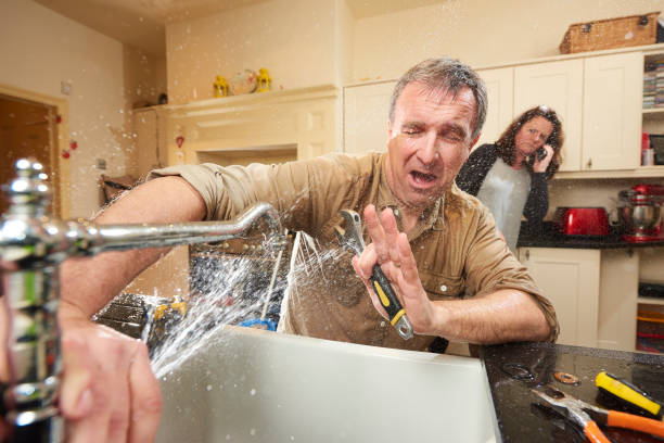Best Mold removal after water damage  in Chillicothe, MO